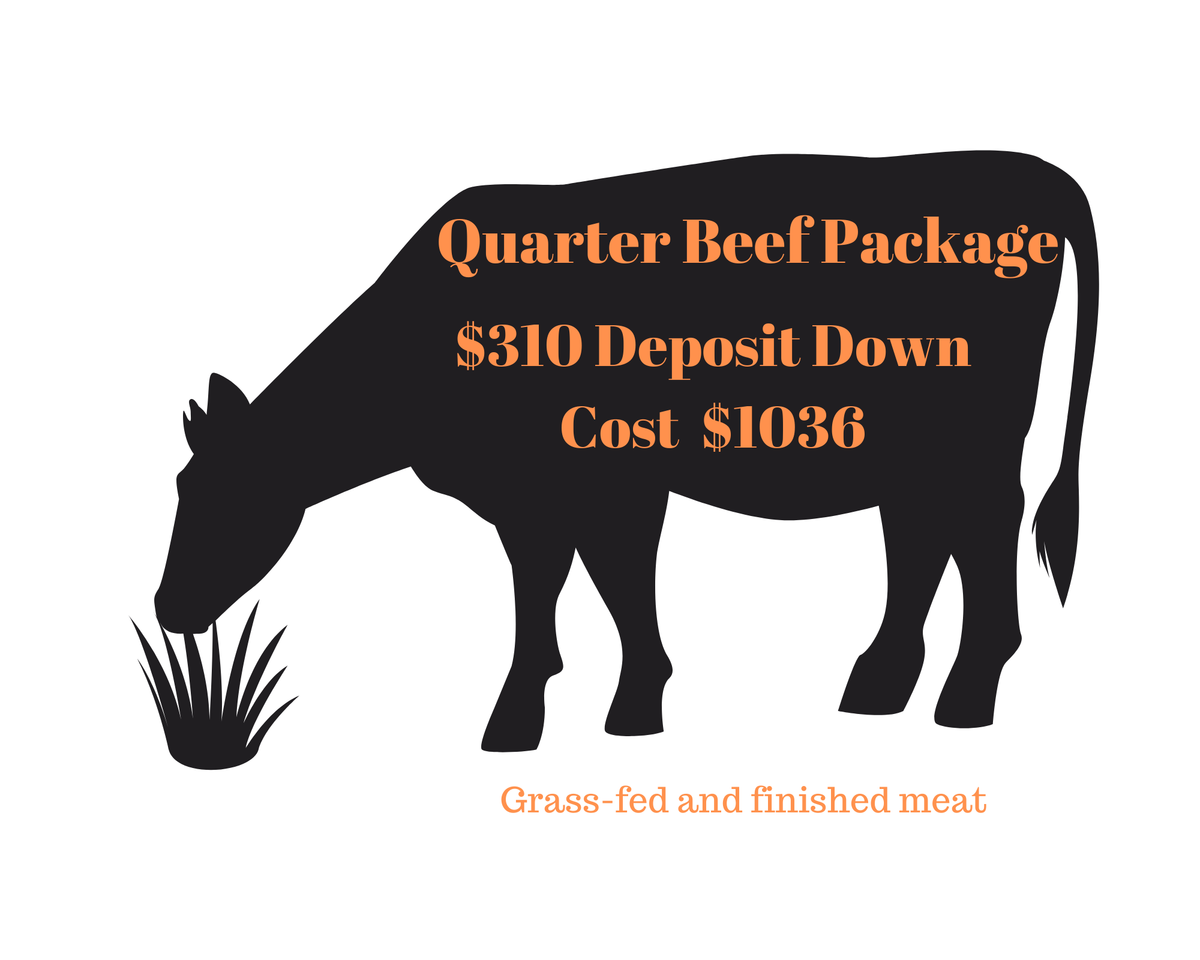 Quarter Beef-Meat Package