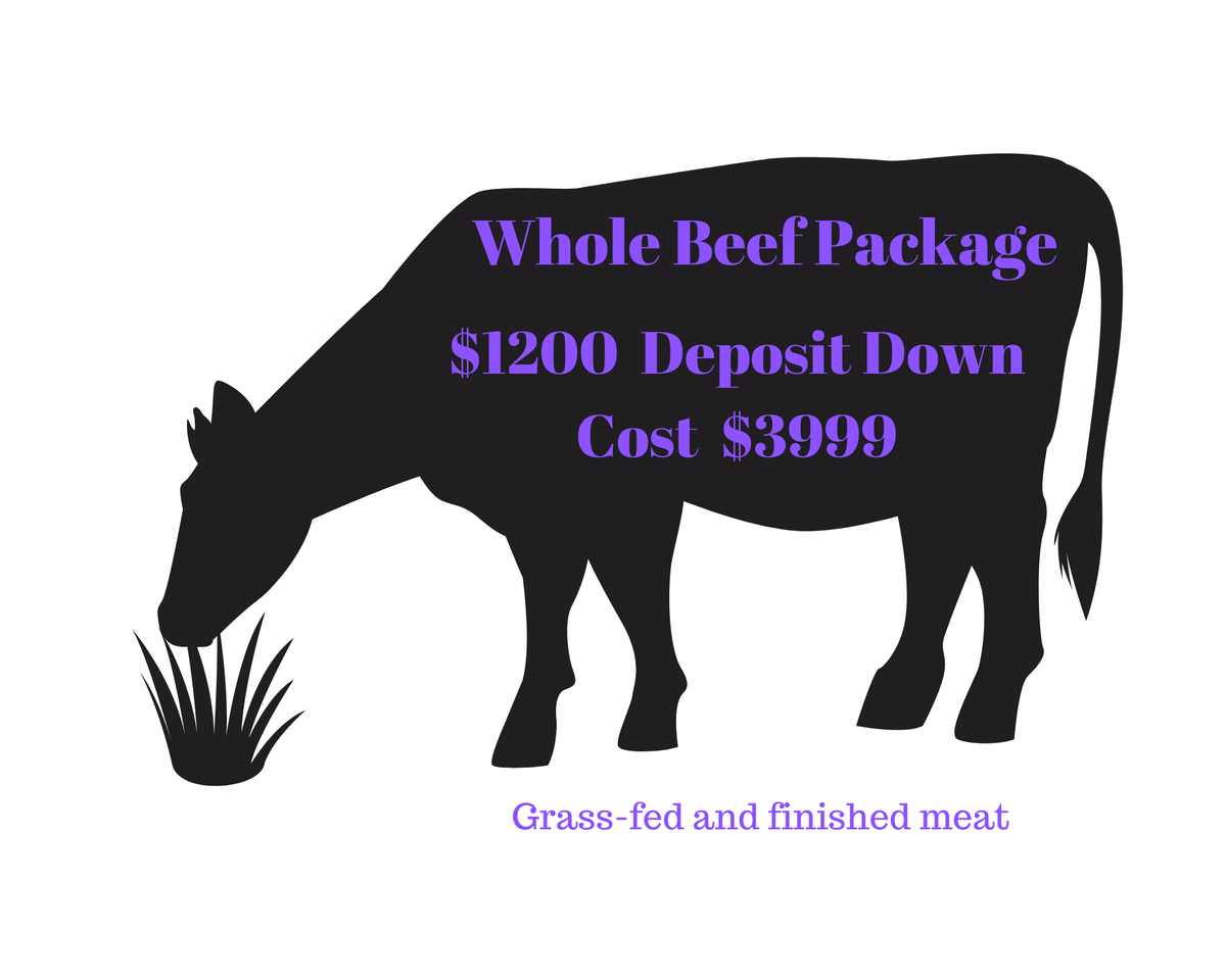 Whole Beef-Meat Package