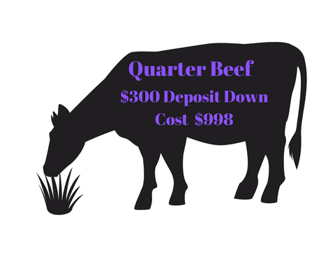 Quarter Beef